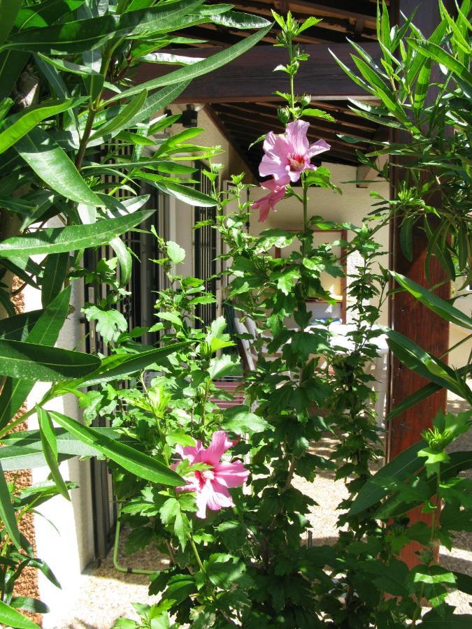 Vias Plage - Maison De Vacances 外观 照片